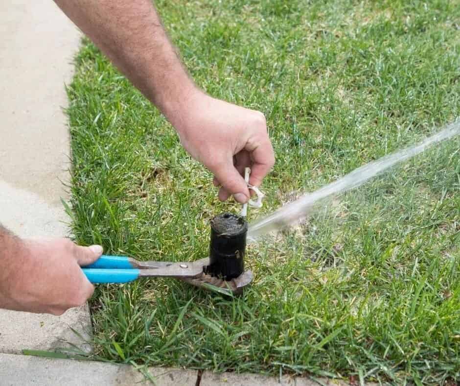 Sprinkler Maintenance and Repairs image