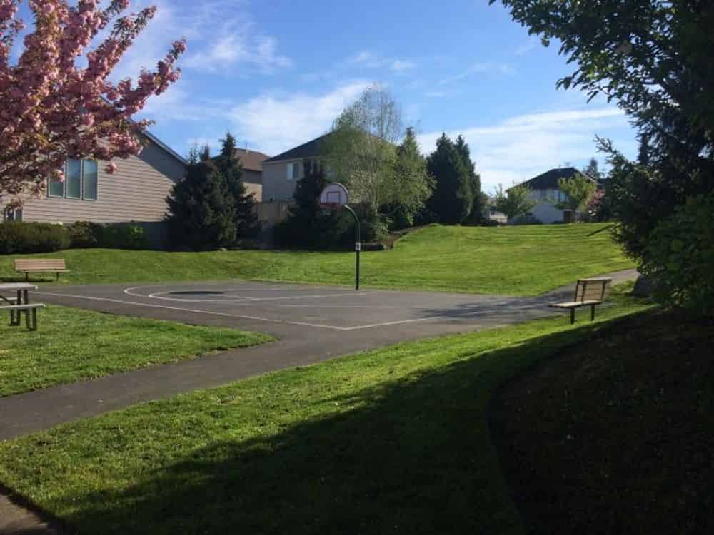HOA Maintenance image