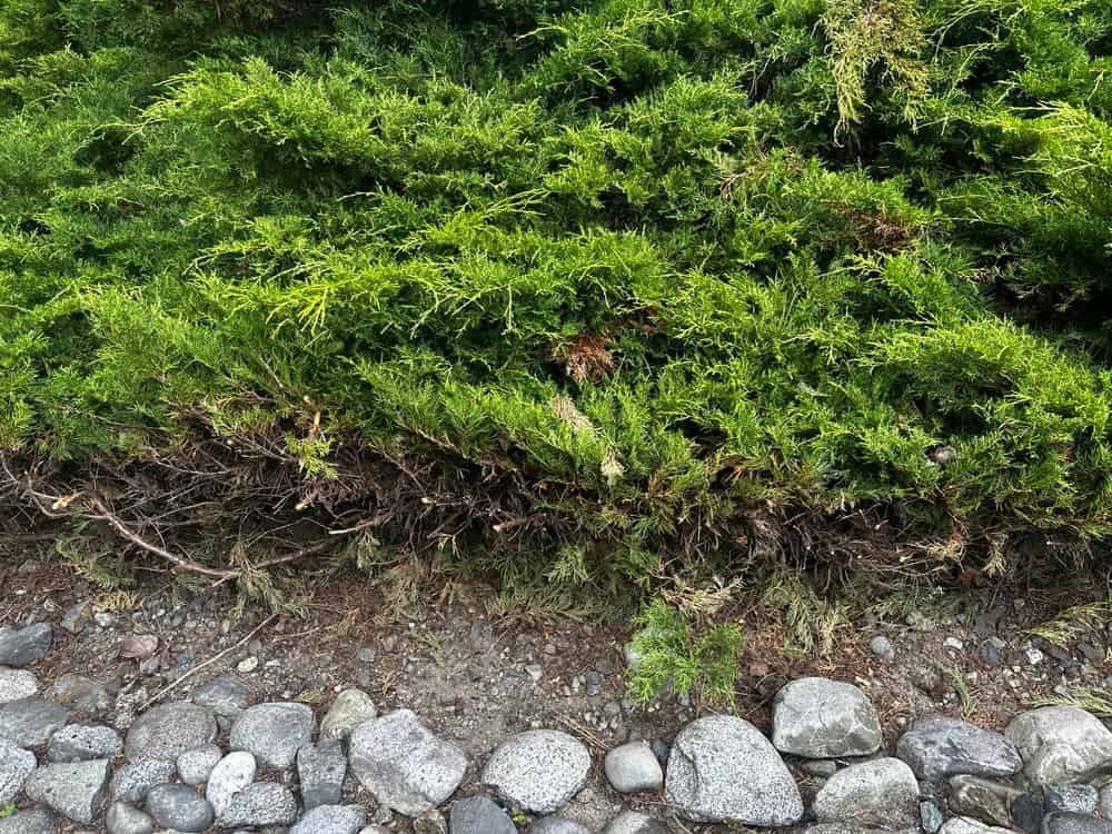 Retention Pond Maintenance image