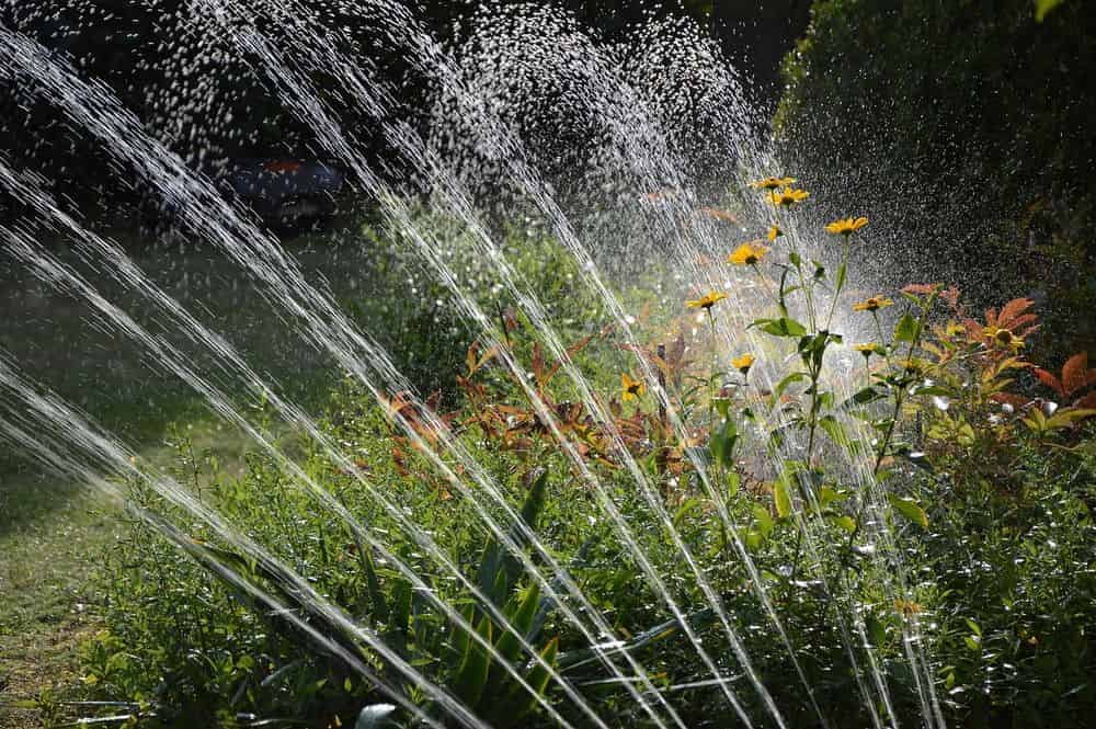 Sprinkler Maintenance and Repair image