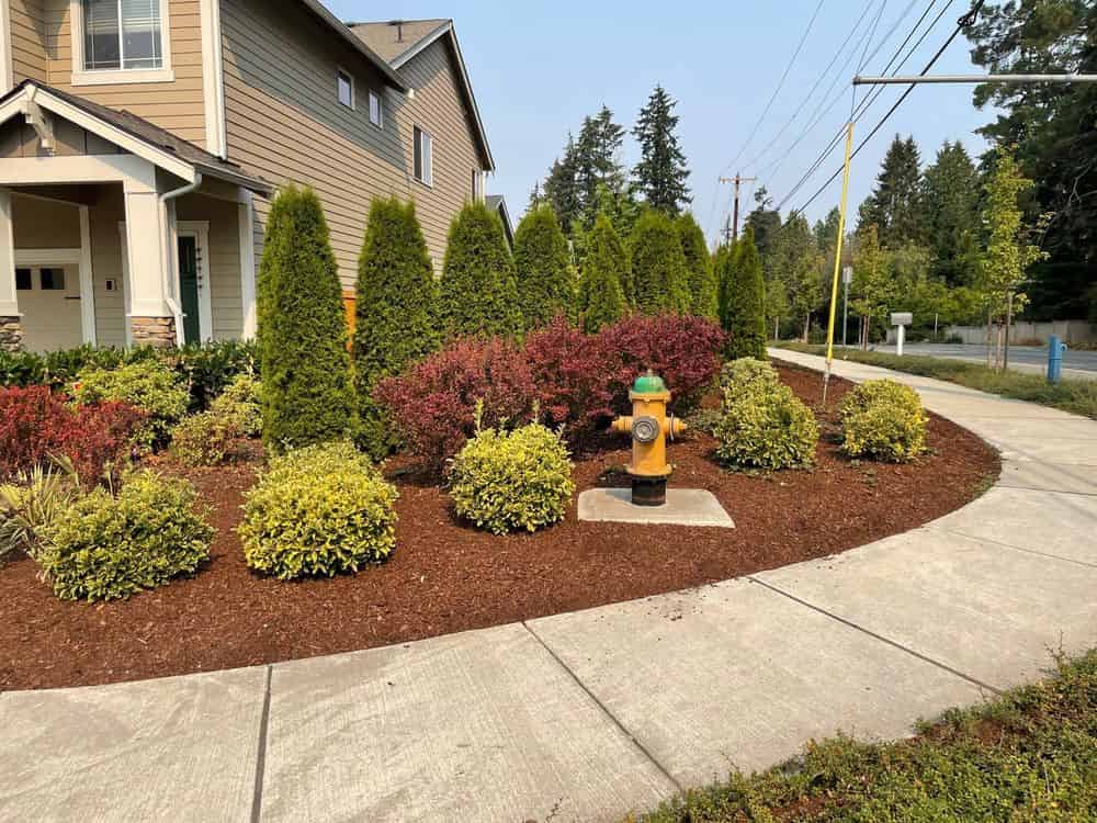 New Landscaping image