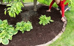 Bark and Mulch Installation image
