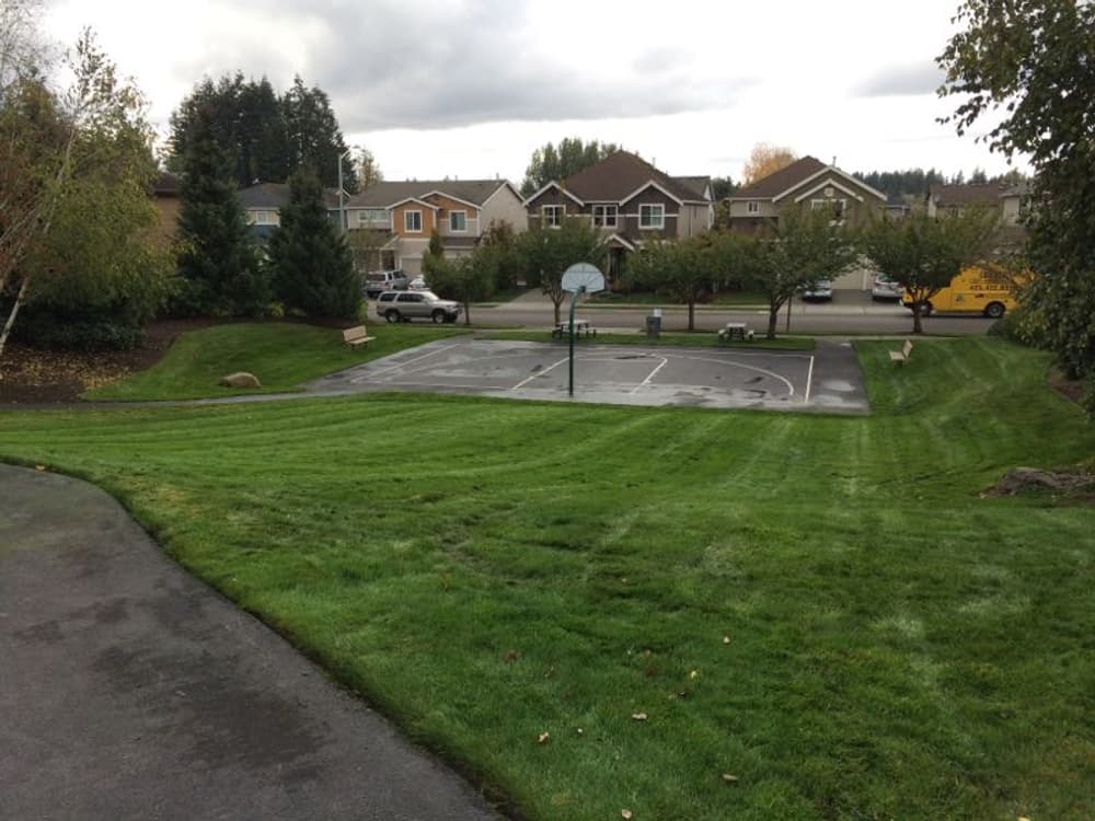 Patios and Walkways image