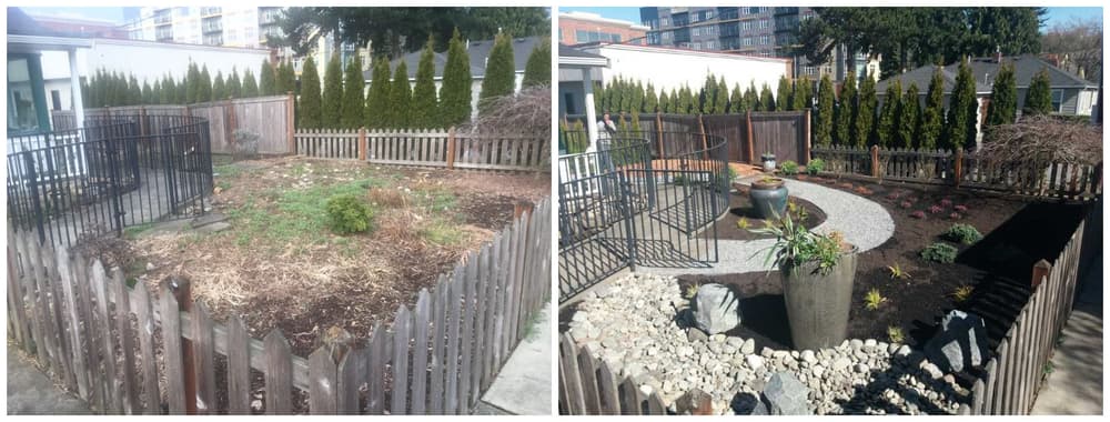 Sod Installation image